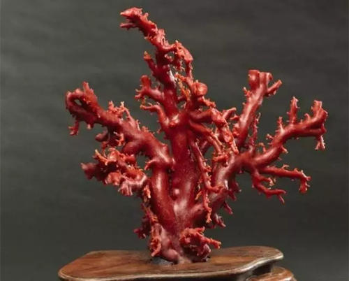 哪九种文玩不准卖,千万不能买的文玩有哪些