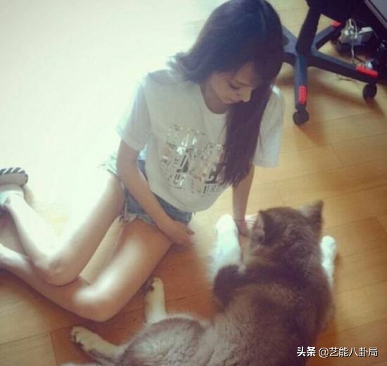 王思聪多少钱买的鸭子,王思聪买的什么鸭