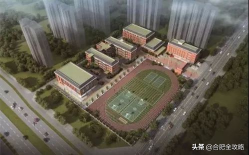 教育大爆发！新站5所学校同时招标！即将开建