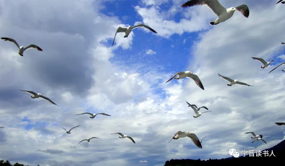 珲春一日游朝鲜,珲春朝鲜一日游攻略