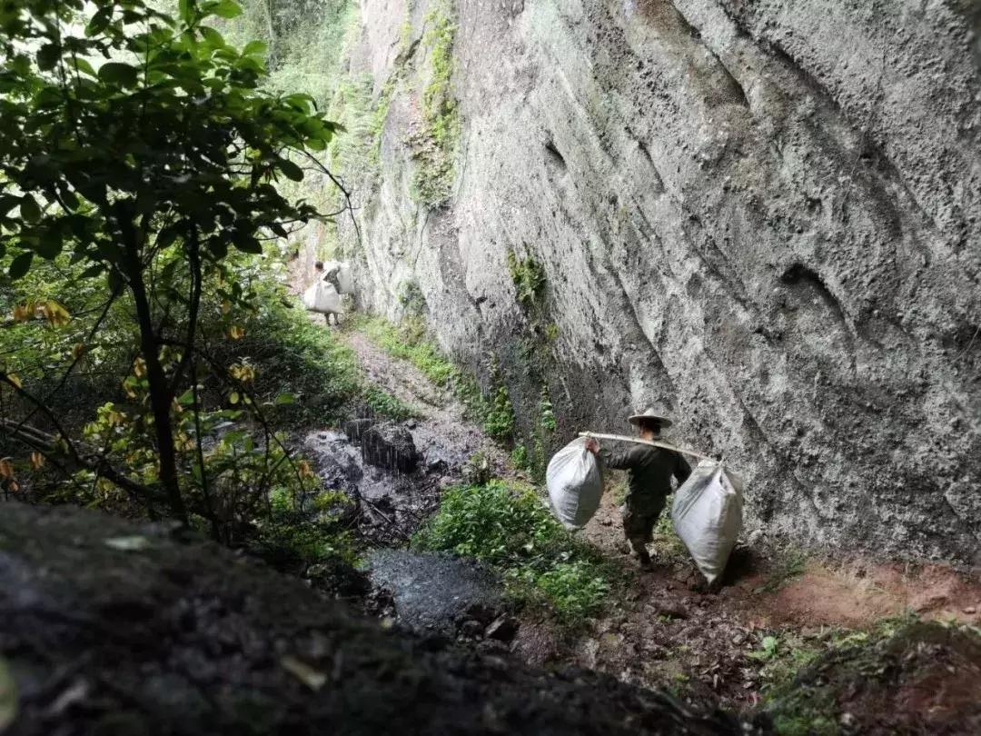 爱茶之人必去的九大茶区,爱茶之人九大茶区