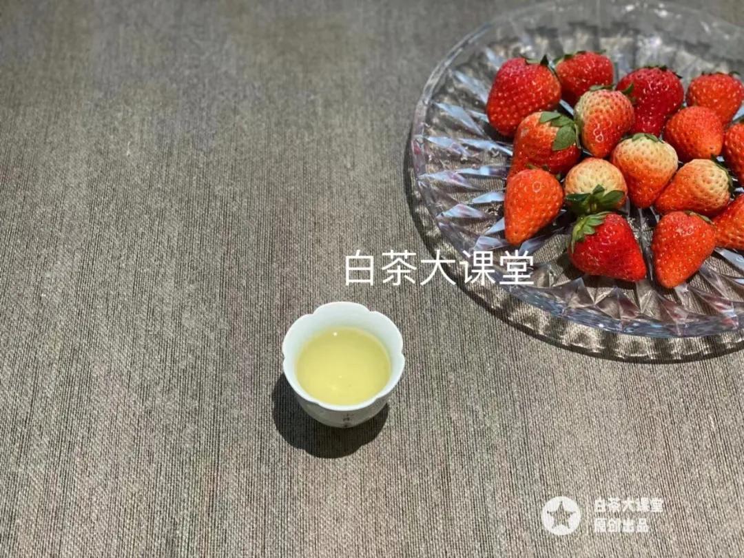 为什么白茶煮出来会苦,为什么白茶泡着不好喝焖好喝