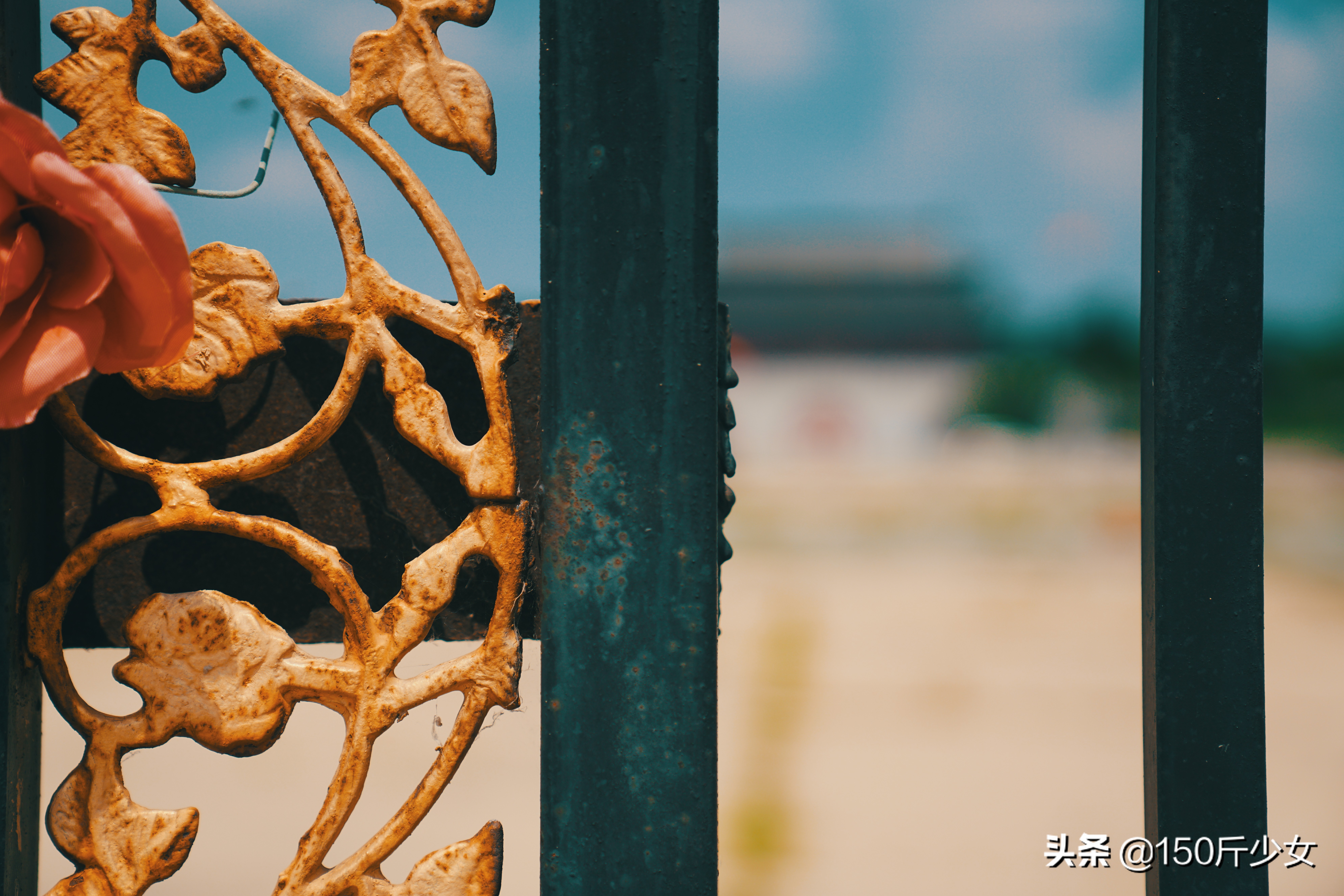 随心所欲玩转吉林！6天5晚人均1000自驾游，吉林现在也很美