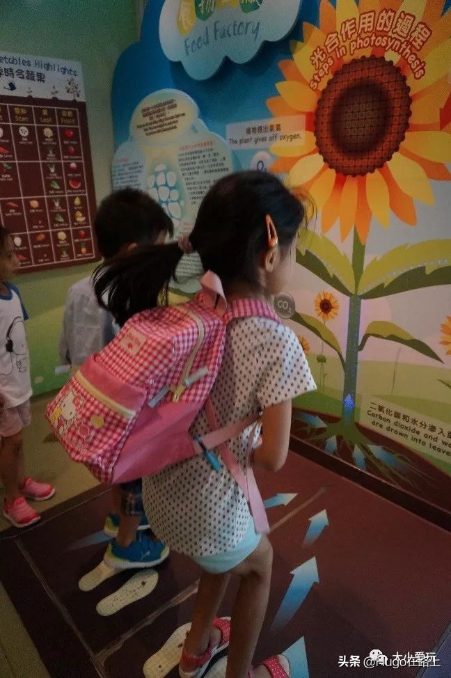 香港亲子游图文攻略图片大全,香港亲子游最佳路线图