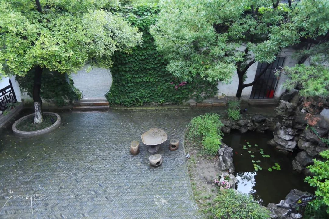 三月赏花一日游上海景点,本月上海赏花一日游最佳去处