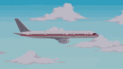 157人遇难，埃航最后6分钟坠机视频曝光