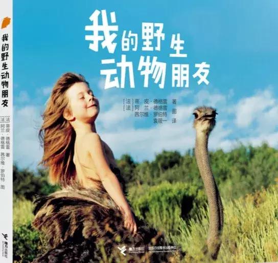 娃娃适合看什么书,暑假孩子适合看哪些书