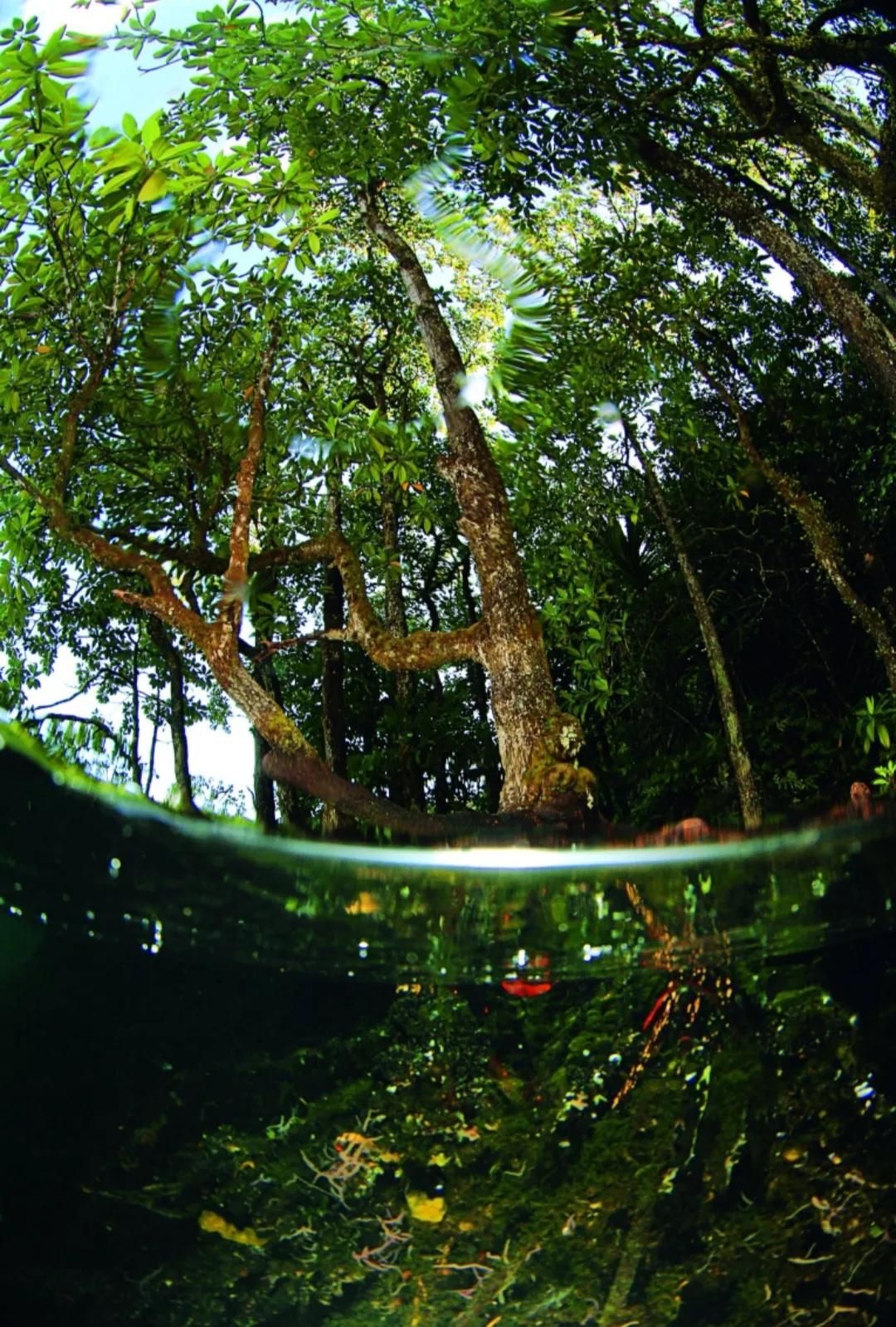 火山岛海底,人工岛珊瑚岛火山岛