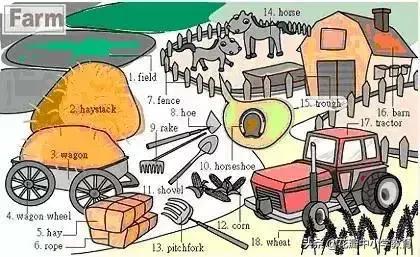 34张图教你记住英语中所有生活用词，一天记一张，一个月搞定
