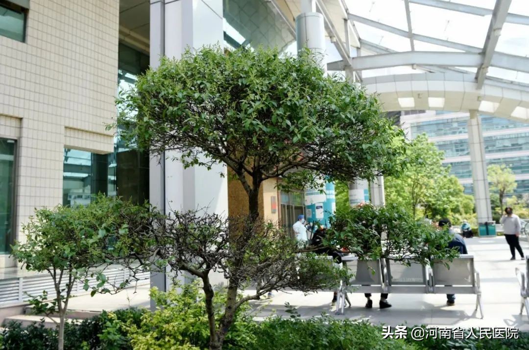 怎么防止肾功能衰竭,肾功能衰竭预防