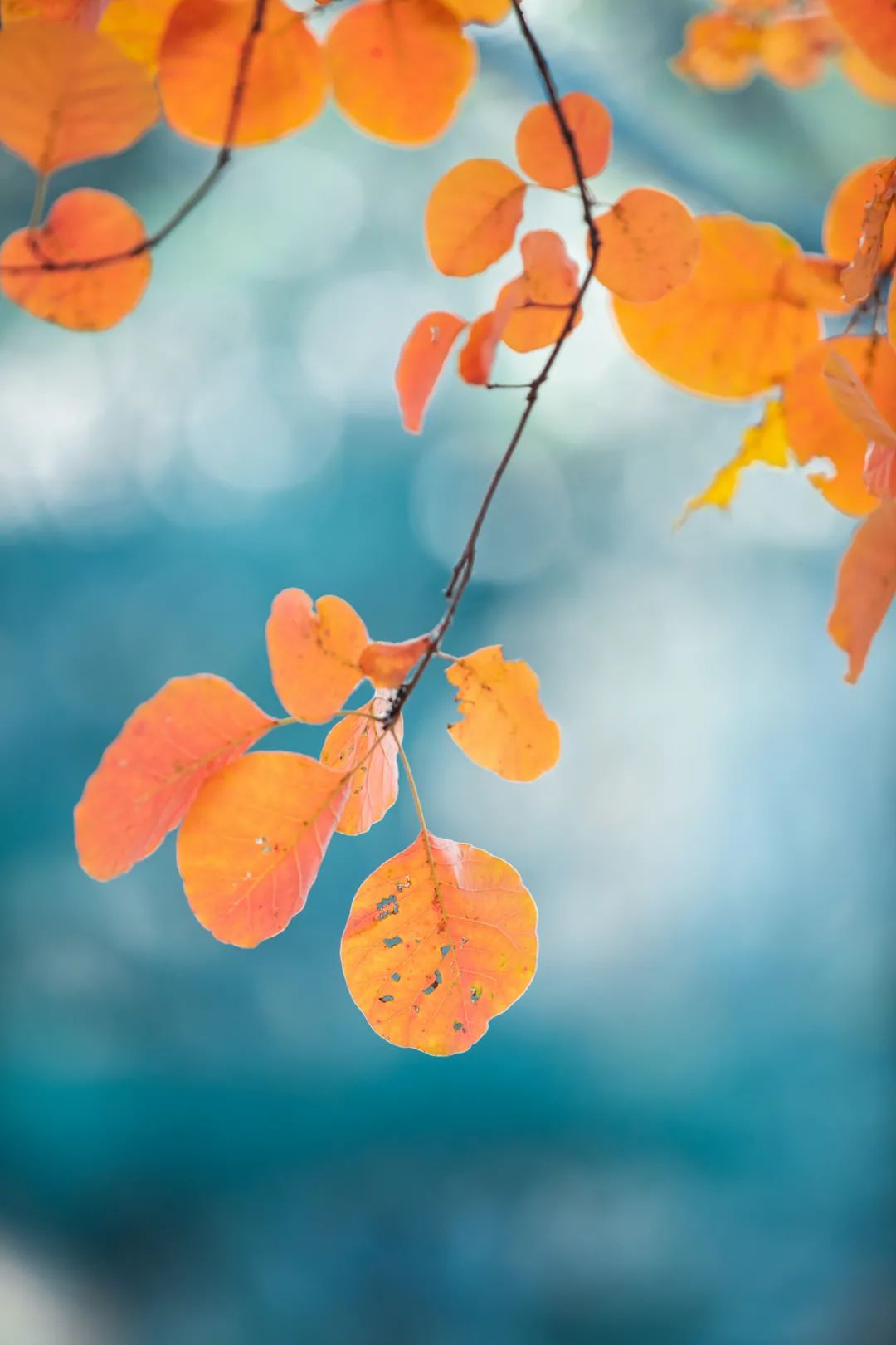 一听就惊艳的名字,你听过哪些惊艳的名字