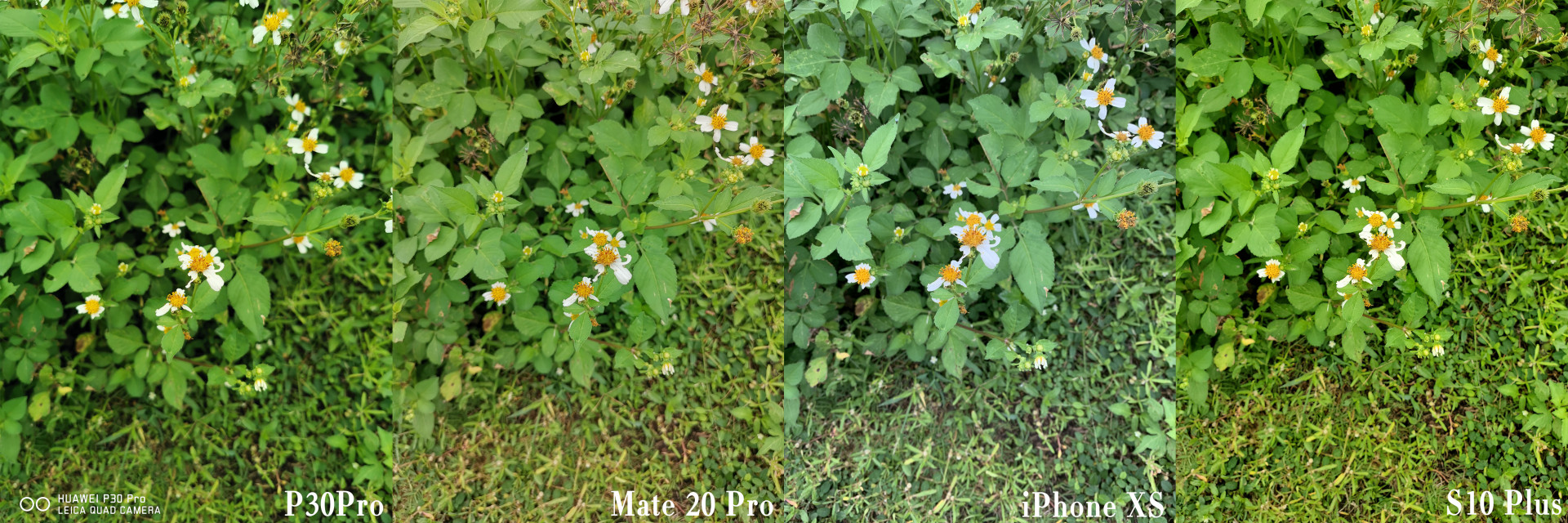 能打电话的相机,能打电话能拍照的手机