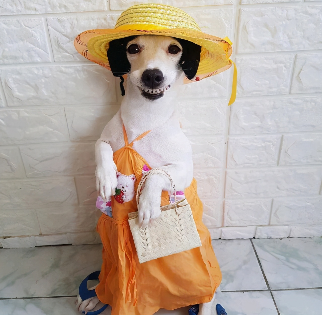 关于发粽子的幽默搞笑,吃粽子幽默笑话