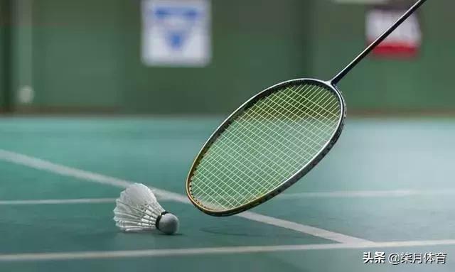 怎样保养乒乓球拍视频教学,乒乓球拍保养方法和注意事项