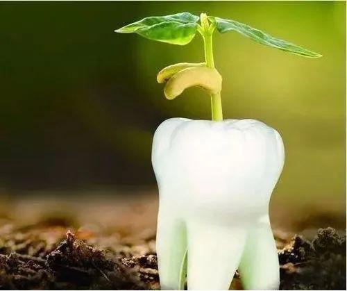 雅悦齿科杨浦雅洁口腔医院,雅悦齿科种牙