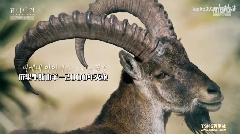 15岁怀孕，她被骗吃下*药炸**，一尸两命：有些人，这辈子不配为人