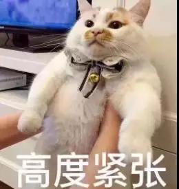 家长教育孩子要不要很严厉,家长对孩子管得太严了怎么办