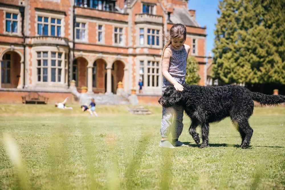 萨里沃特福德主教练,萨里郡大学