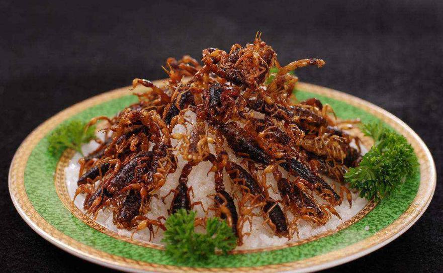 带大家了解一下昆虫美食,国外很火的4种美食昆虫你敢吃吗