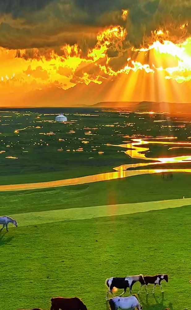 我和我的朋友作文高分,我的好朋友高分作文