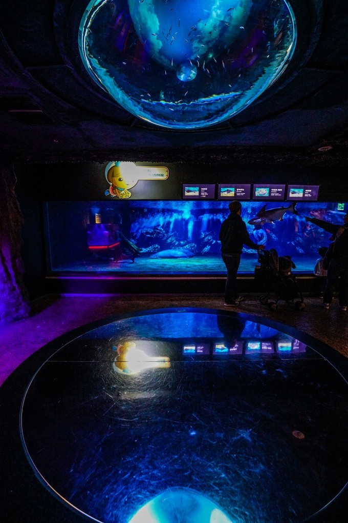 去韩国必买清单,韩国购物攻略衣服