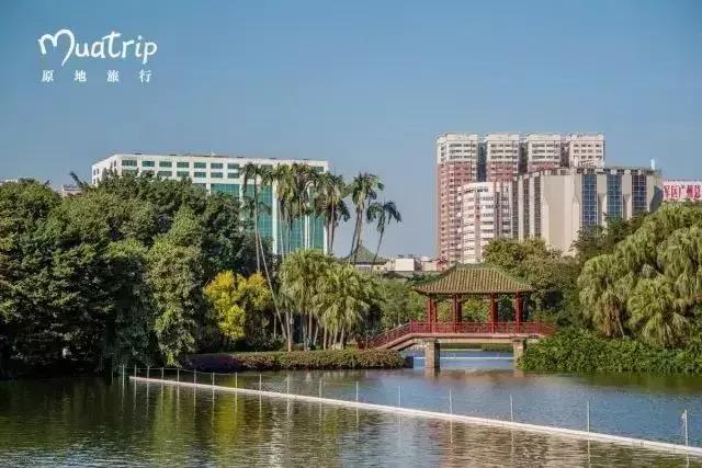 广州地铁旅游打卡攻略,广州适合春游的免费景点