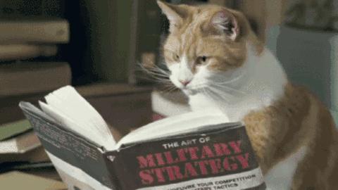 被人打了走法律程序最多赔多少钱,被人打了以后维权多长时间有效