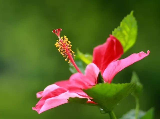 男子家门口被人堵住,男生晚上回家被人尾随怎么自救