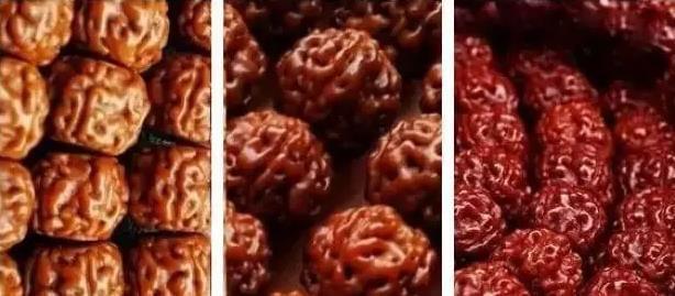 小金刚怎么选品种,如何挑选精品小金刚