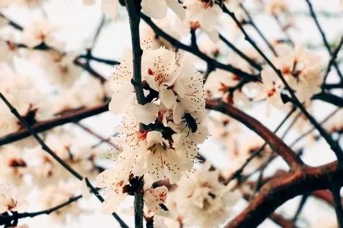 天津商业大学综合排名,天津商业大学真实排名