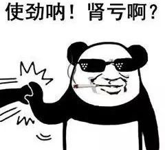 红牛最新赞助项目,红牛赞助计划