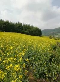 每个人记忆中的姥姥,你们记忆中的姥姥是什么样的