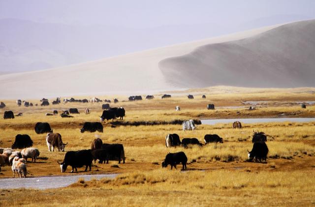 西藏冬季旅游攻略 (藏西冬天)