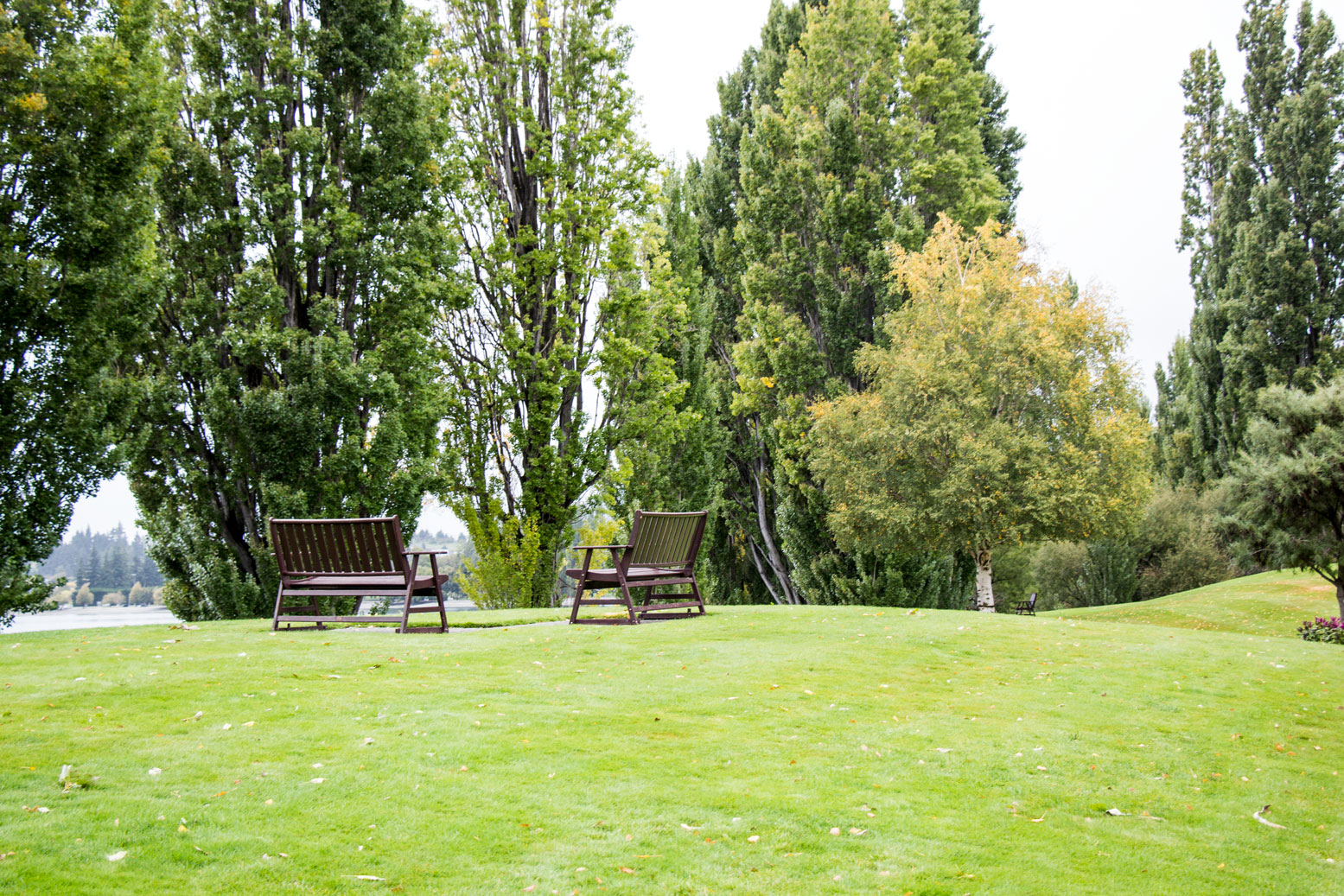 新西兰旅游必备大牌礼物,新西兰旅行攻略完整详细版