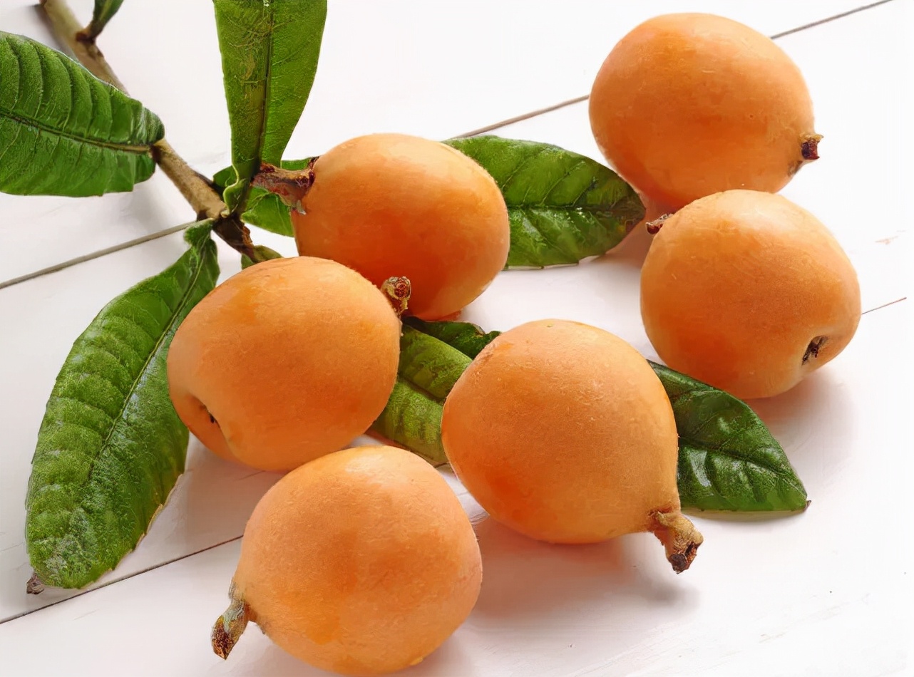 宁波适合种什么水果,宁波南洋水果