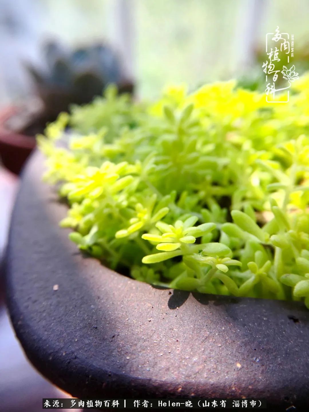 人到中年温暖如初,人到中年岁月静好