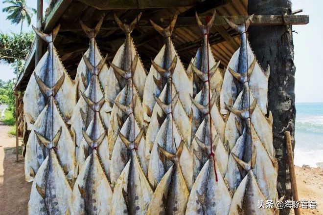 斯里兰卡最新购物攻略视频播放,斯里兰卡购物攻略和必买清单