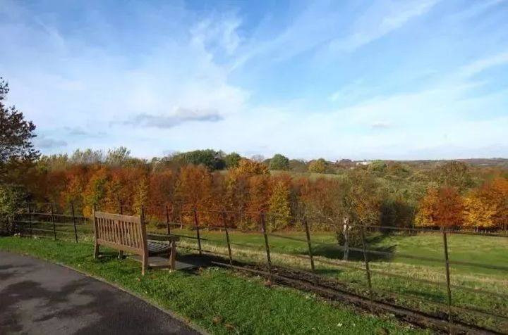 杜伦大学的优势与缺点,杜伦大学是durham吗