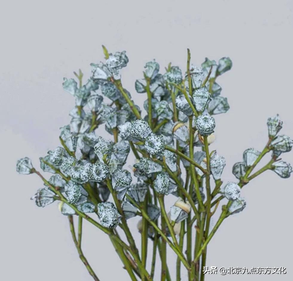 折花逢驿使寄与陇头人的意思,折花逢驿使寄与陇头人谁写的