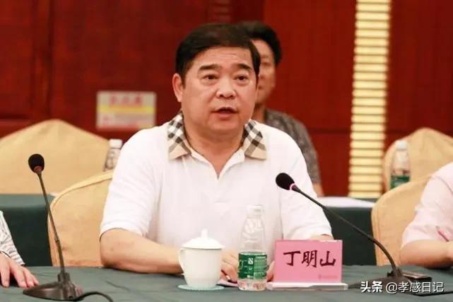 孝感最有钱的10个人,孝感十大有钱人