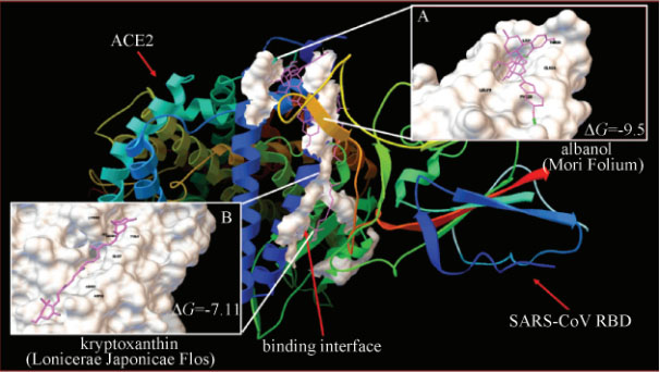 连花清瘟治疗新冠肺炎真的有效吗,连花清瘟治疗新冠肺炎真的有效