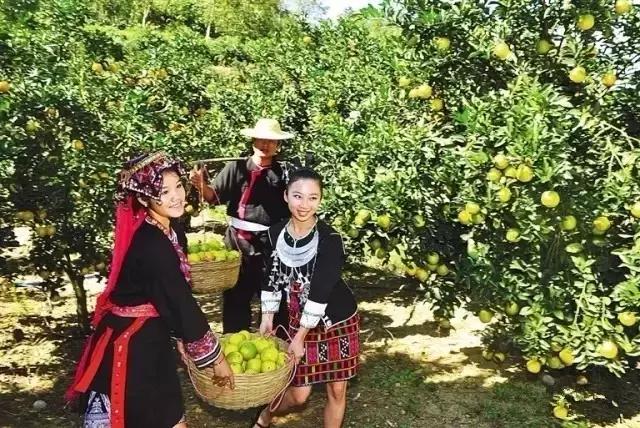 海南白沙县最美乡村,中国琼中最美乡村