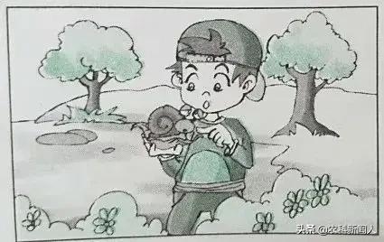 二年级看图写话训练,二年级看图说话写话大全范文