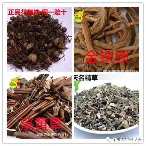 冷背药材名录大全,重楼、金线莲、山慈菇、竹节参、千层塔等