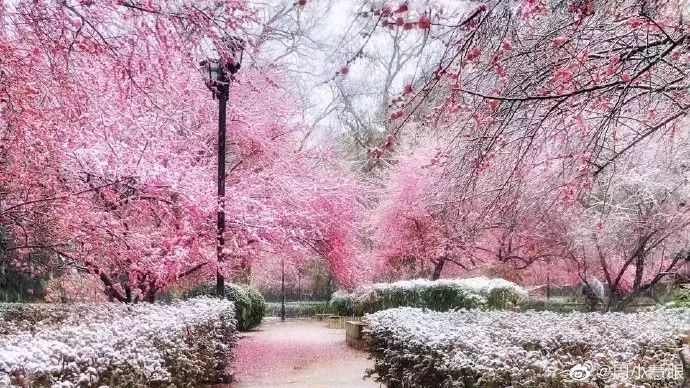 霉霉段子,霉霉的段子