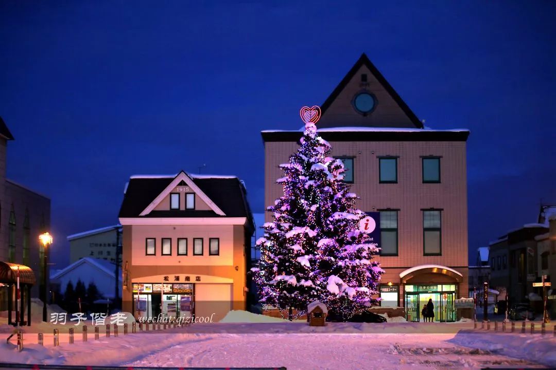 老实说,这一趟北海道就是为了拍好看的照片去的