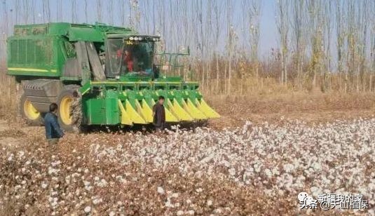 阿拉尔将成为南疆最大的城市,南疆阿拉尔市