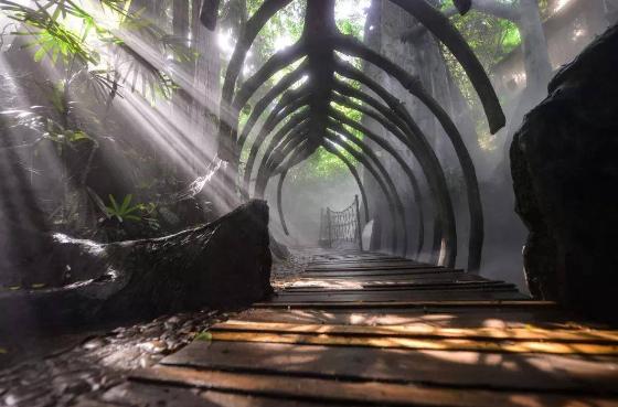 青青世界深圳好玩吗,深圳青青世界要门票吗