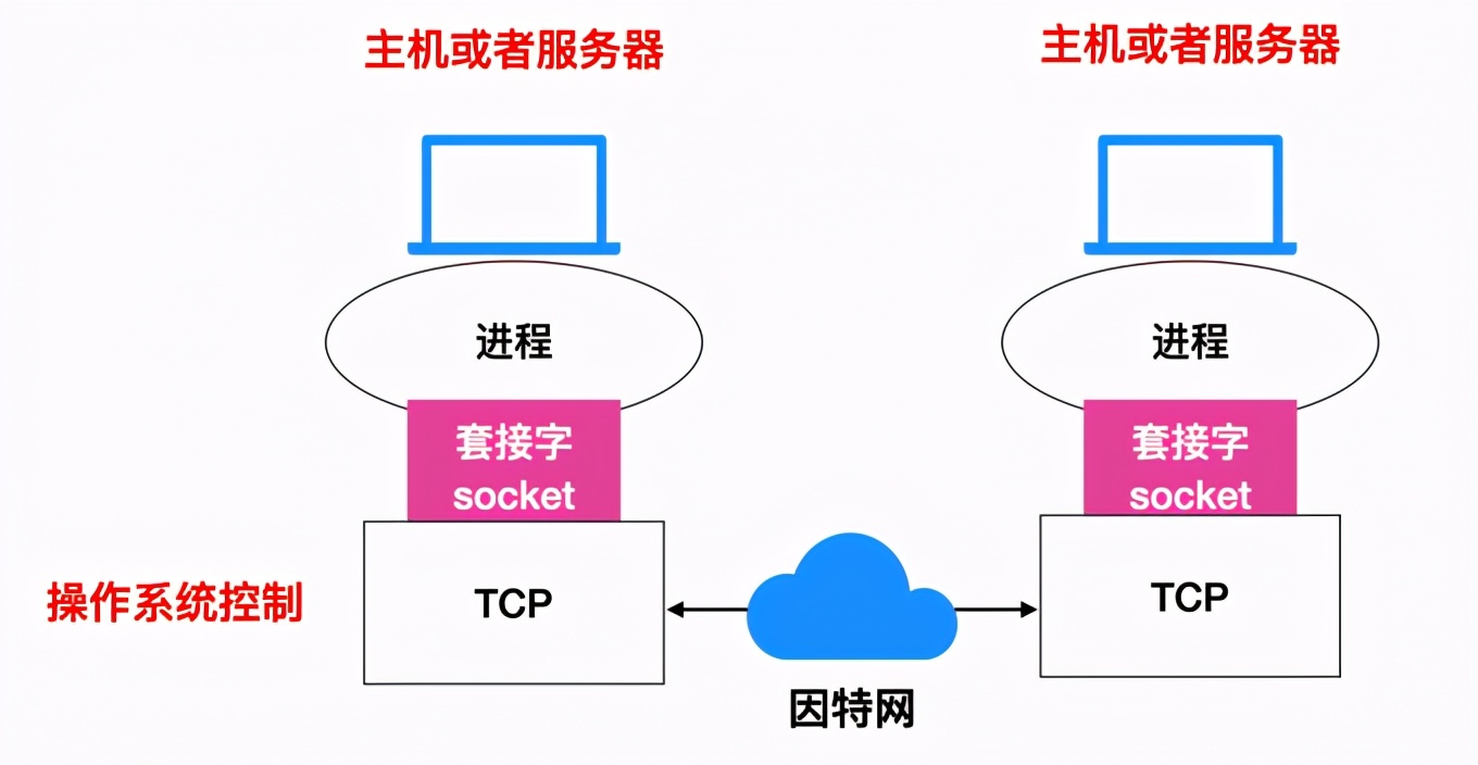 拿下计网的这些协议后，我就是最靓的仔