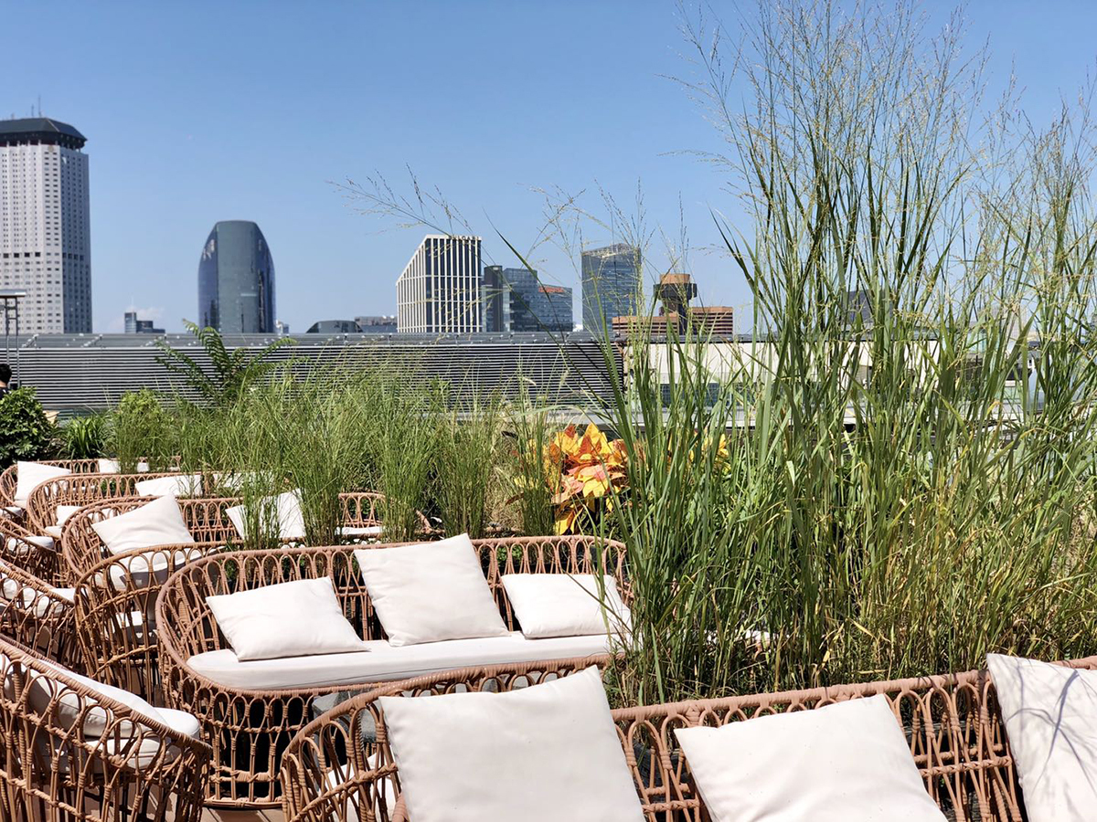 鸡胸肉可以怎么煎,鸡胸肉怎么煎好吃又嫩